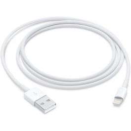 Lightning to USB Cable (1 m)