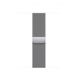 41mm Silver Milanese Loop (2023)