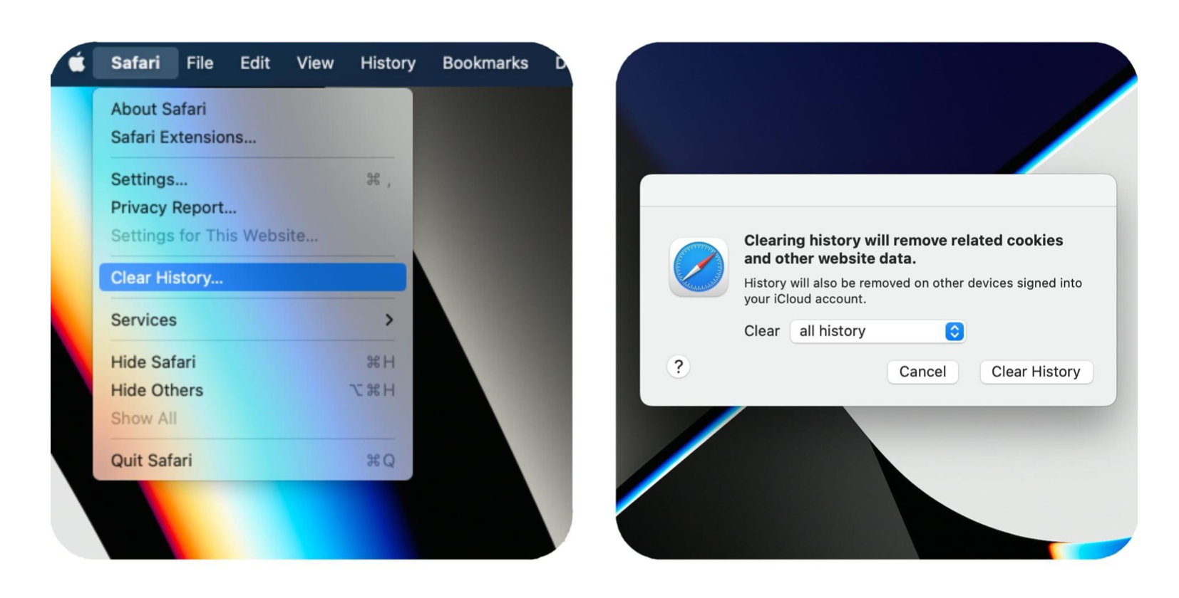 How to clear Safari and Google history